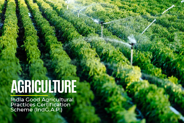 AGRICULTURE 2 copy 2